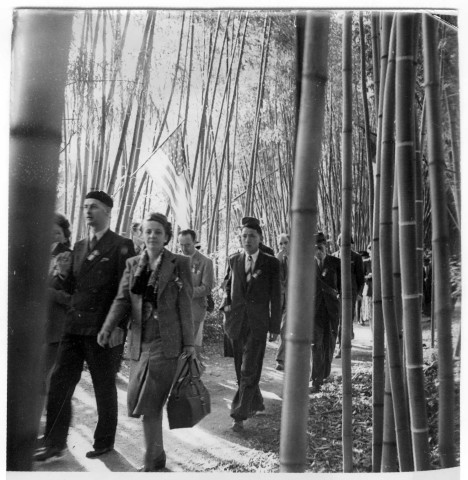 Bambouseraie de Prafrance