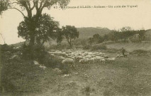 Un coin du Vignal au Val d'Arènes