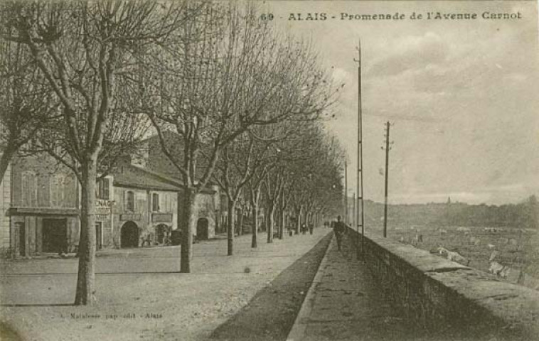 Promenade de l'avenue Carnot