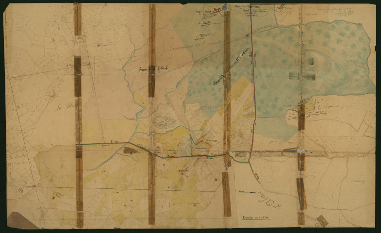 Domaine de Traquette et Sauvages propriété Tubeuf-D'Hombres: extrait du plan cadastral