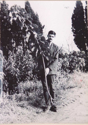 Homme tenant à la main une branche de mûrier
