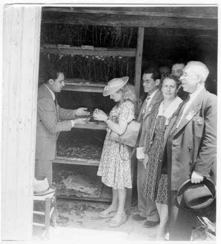 Montpellier. Visite de l'Ecole Nationale d'Agriculture. La magnanerie. Melle Tonon, expérimentateur à la station bacologique de Padoue